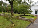 Storm damage fallen trees